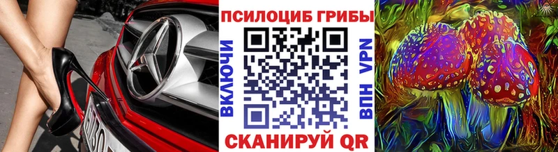 площадка какой сайт  продажа наркотиков  Кулебаки  Галлюциногенные грибы прущие грибы 
